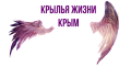 Крылья жизни Крым. Проект "Здравствуй, школа!"